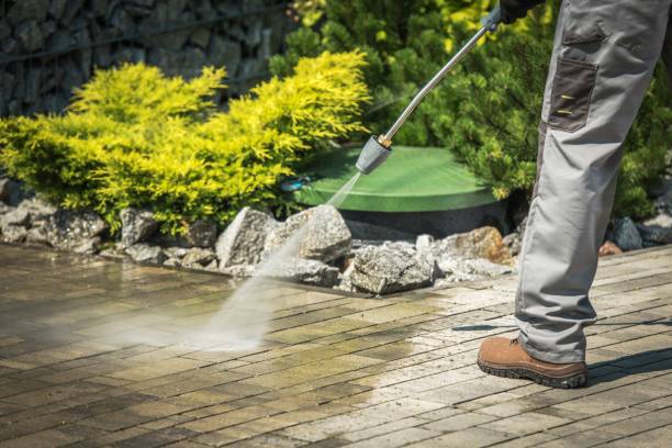 Best Playground Equipment Cleaning  in North Patchogue, NY